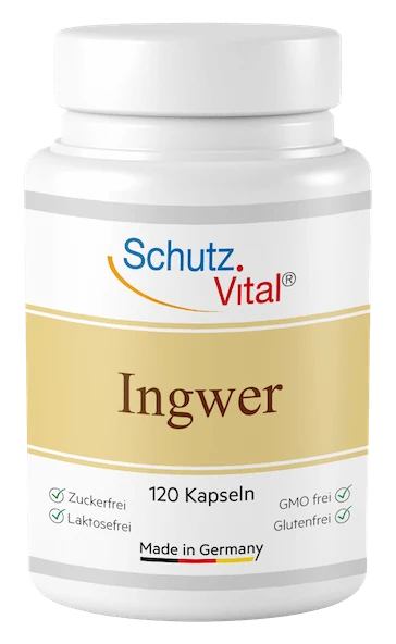 Schutz-Vital Ingwer Kapseln