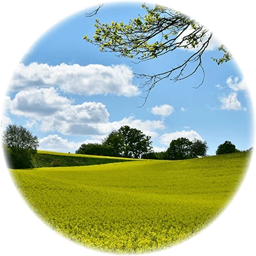 Landschaft